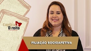 Explica Direito Filiação Socioafetiva  2019 [upl. by Drofiar335]