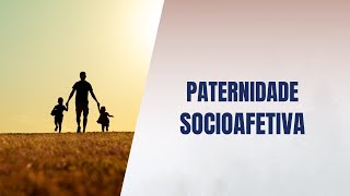 Paternidade socioafetiva [upl. by Phio]