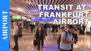 TRANSIT WALK AT FRANKFURT Airport FRA Terminal 1  Connection Flight Transfer Arriving amp Departing [upl. by Assirak163]